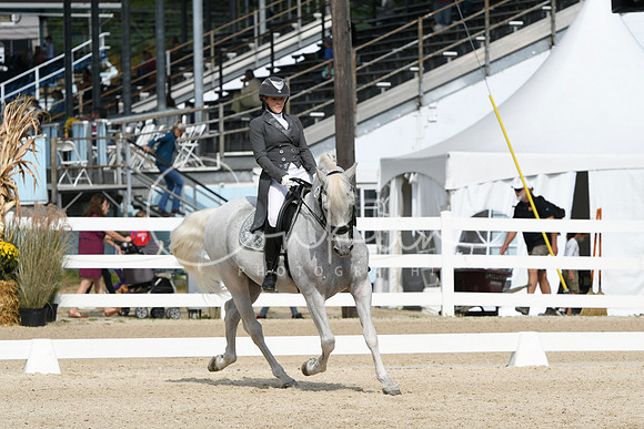 HSM_1537