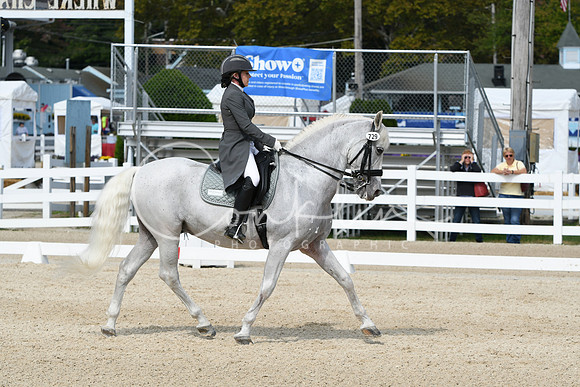 HSM_1545