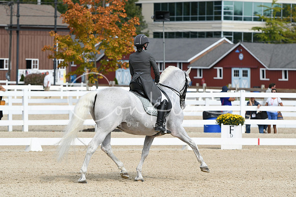 HSM_1550