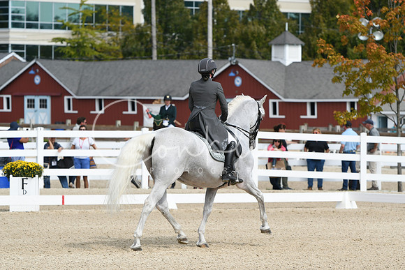 HSM_1554
