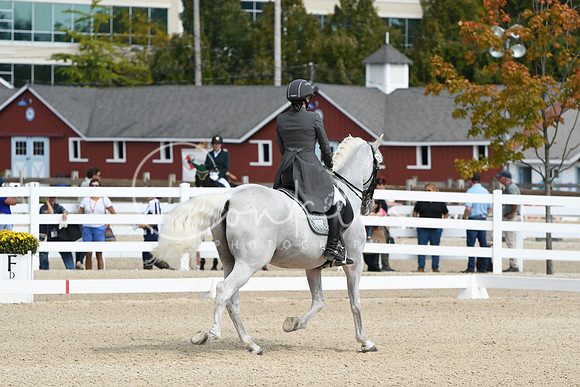 HSM_1555