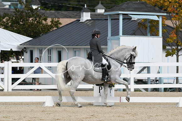 HSM_1558