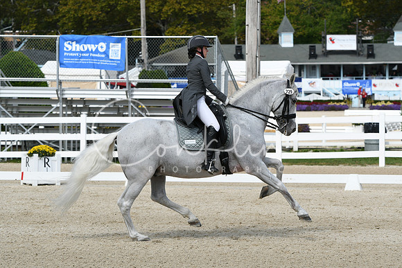 HSM_1567