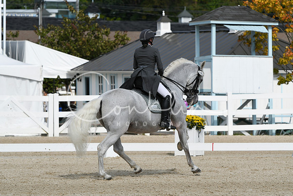 HSM_1571
