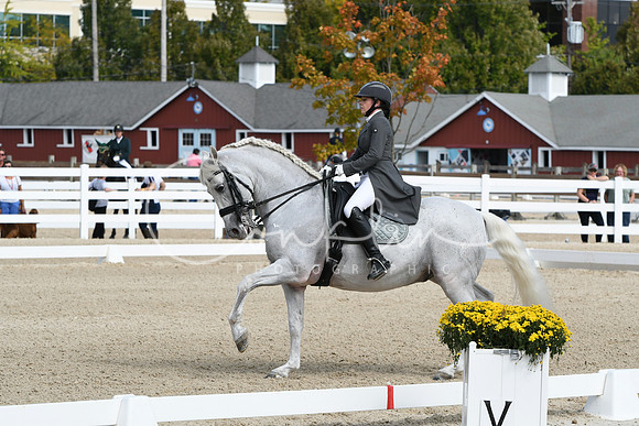 HSM_1574