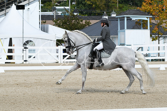 HSM_1575