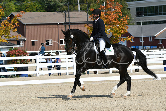 HSM_1345