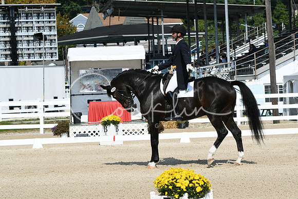 HSM_1349