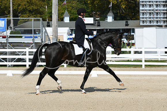HSM_1356