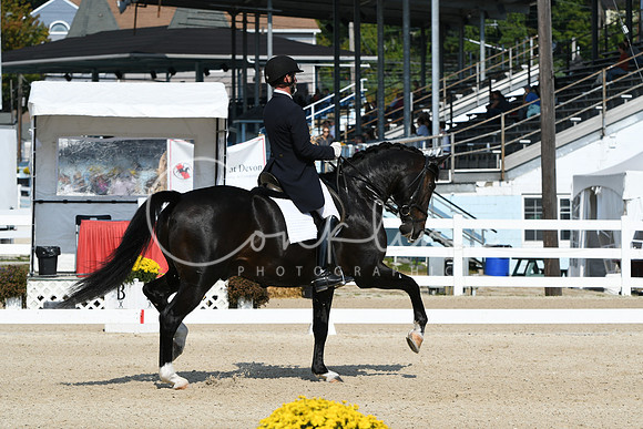 HSM_1357