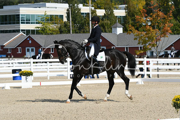 HSM_1362