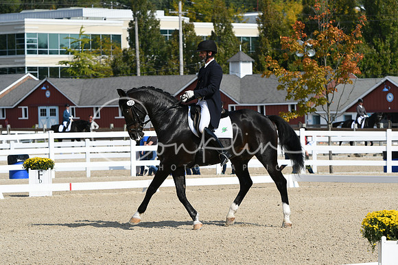 HSM_1361