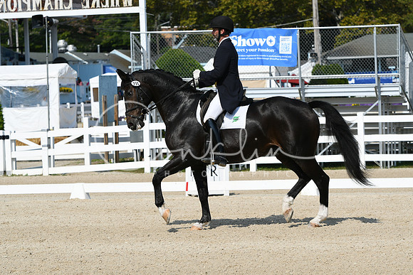 HSM_1369