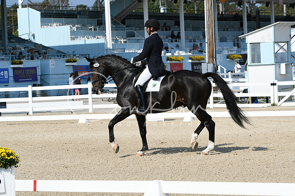 HSM_1371
