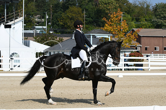 HSM_1379