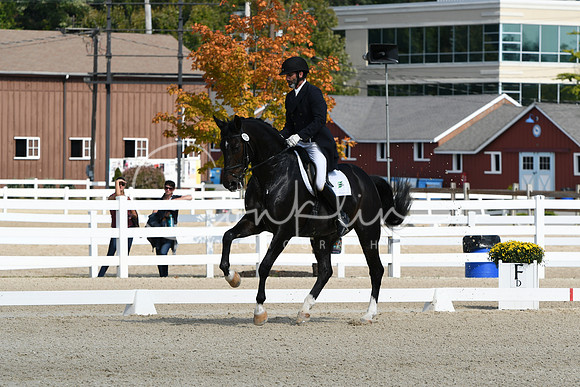 HSM_1389
