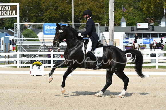 HSM_1393
