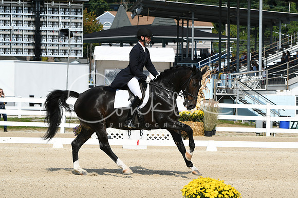 HSM_1403