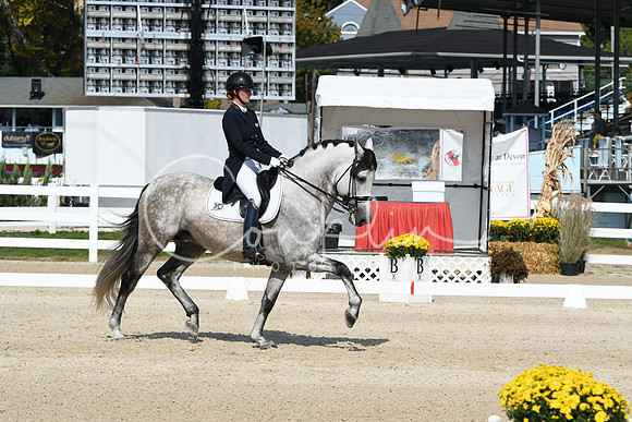 HSM_1644