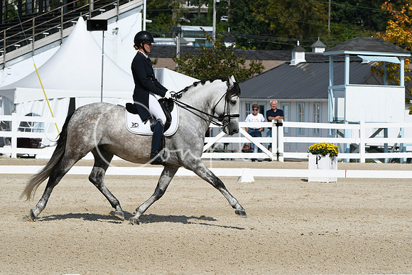 HSM_1647