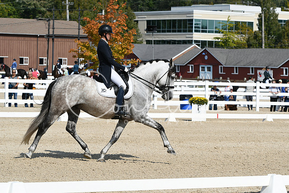 HSM_1649