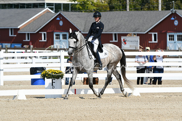 HSM_1651