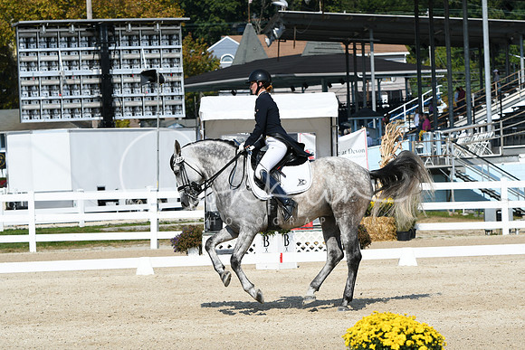 HSM_1695