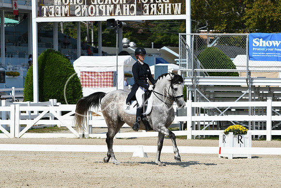 HSM_1701