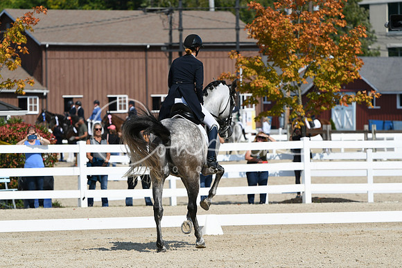 HSM_1713