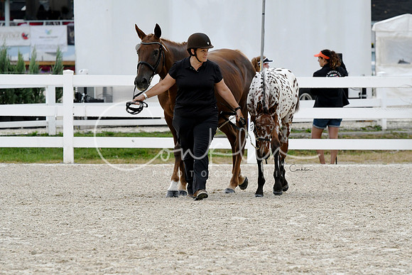 HSM_1034-1