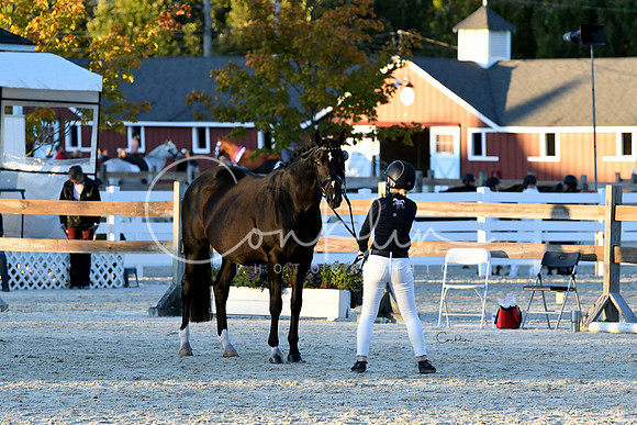 HSM_5722-1