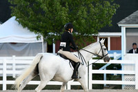 HSM_0520