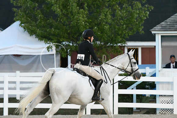 HSM_0520