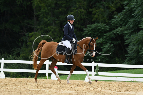 HSM_0182