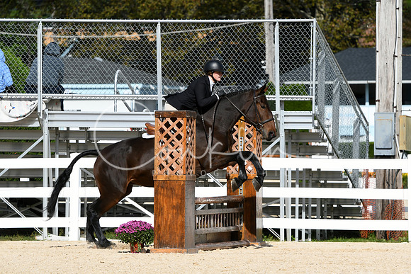HSM_7782-1