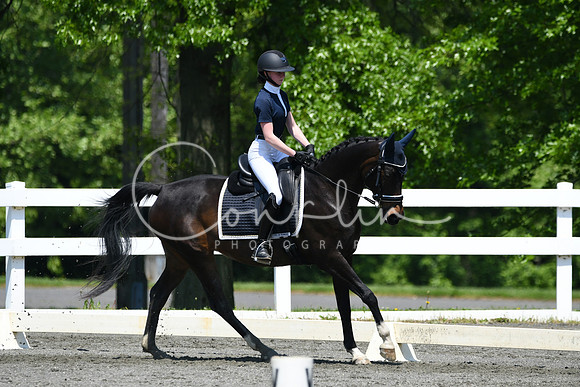 HSM_1466
