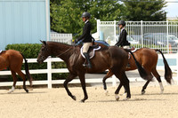 Classes 28-30 14-17 Equitation