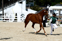 HSM_4658-1