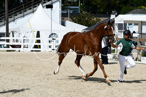 HSM_4658-1