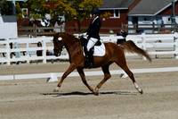 HSM_6774