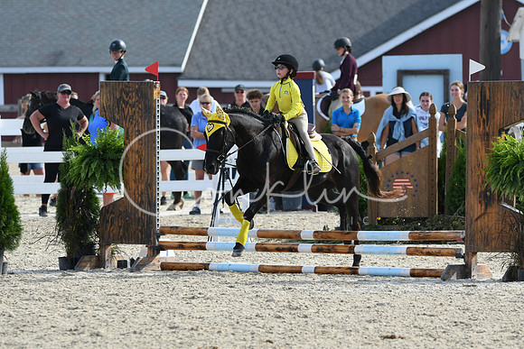 HSM_1606