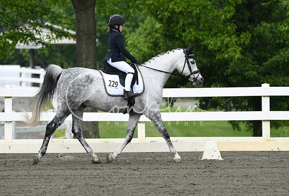 HSM_9461-1