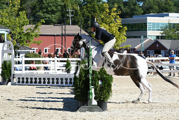 HSM_2542