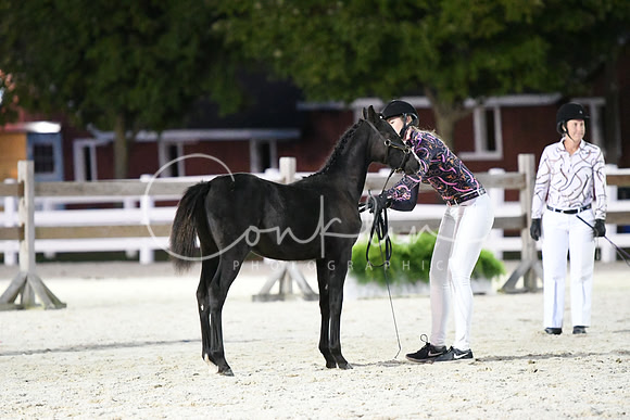 HSM_5811