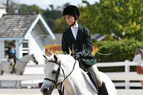 HSM_6291