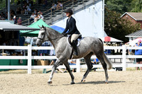 HSM_9296