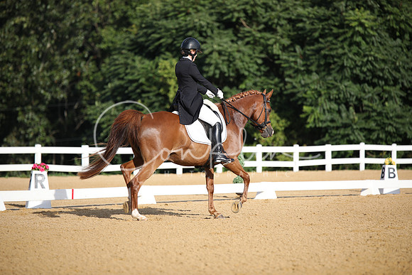 BW188275