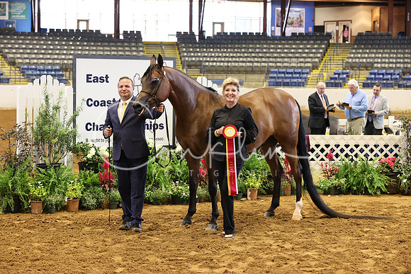 RJC30996