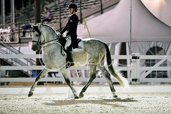 HSM_9233-1