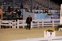 Class 410.2 USEF Fourth Level Test 1-photos